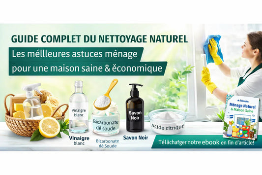Guide complet du nettoyage naturel : les meilleures astuces ménage pour une maison propre, saine et économique - Belka Pros®