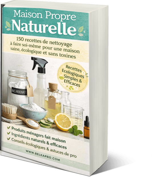 Fait maison, zéro chimie — Le guide complet des produits ménagers naturels - BELKA PRO®